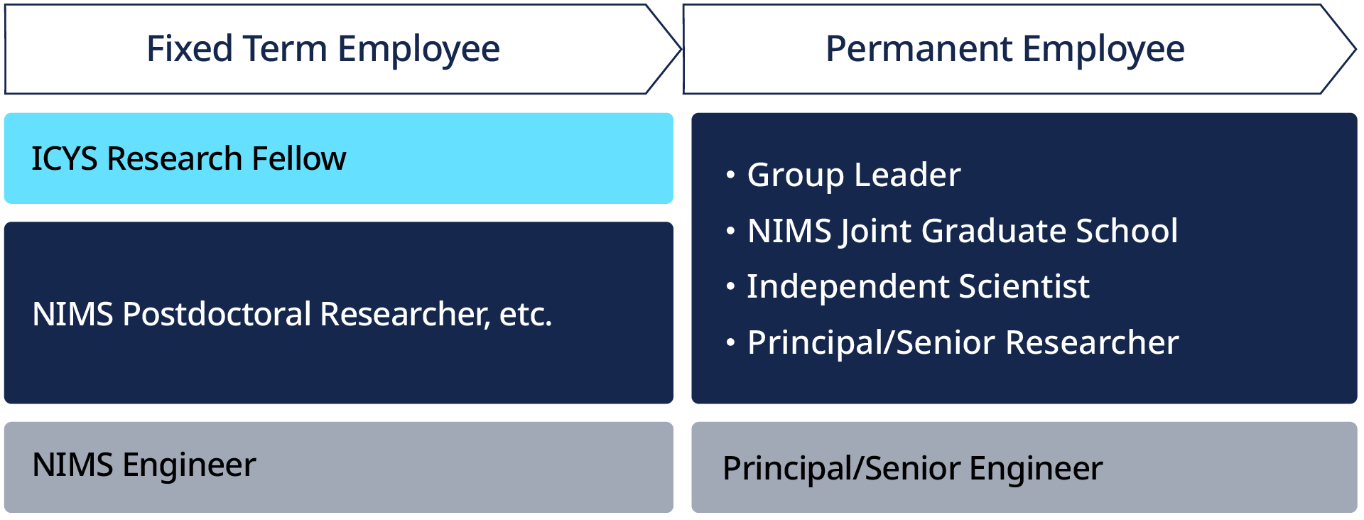 image of career path roadmap: see below for details