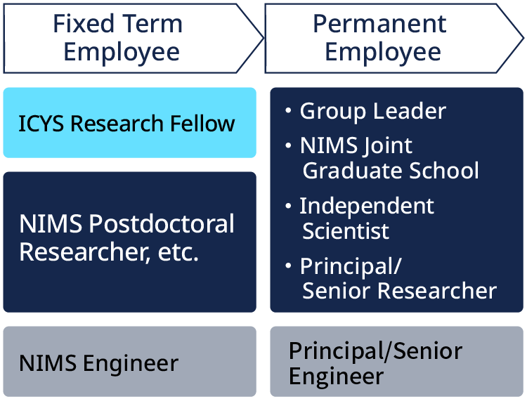 image of career path roadmap: see below for details
