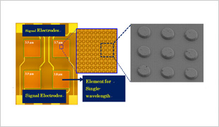 (left) Signal electrodes, (right) Element for single wavelength