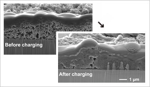 Comparison of martensitic transformation temperatures of the newly developed high entropy alloys and existing shape memory alloys.