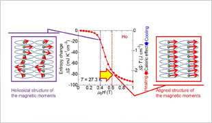 Change in entropy in holmium (Ho) metal, a rare earth element, when a weak magnetic field is applied to it