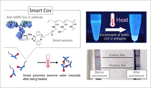 The sensitivity of rapid COVID-19 diagnostic tests can be dramatically enhanced by condensing SARS-CoV-2 antigens using smart polymers.