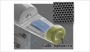 SEM image of the LaB6 nanowire-based electron source.