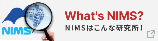 What's NIMS?